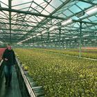 Integrated PV Module Mounting Systems For Greenhouse