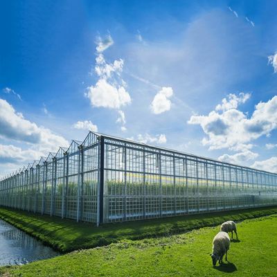 Хорошая цена. Multi солнечная система парника цели 500KW BIPV онлайн